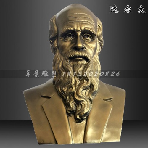 达尔文胸像雕塑  校园景观摆件图1