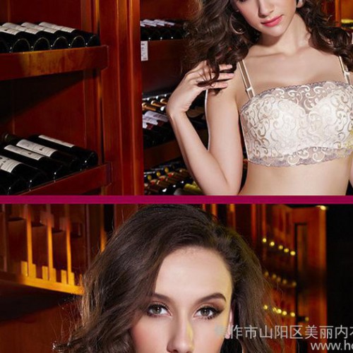 新款蕾丝刺绣性感抹胸文胸 收副乳图1