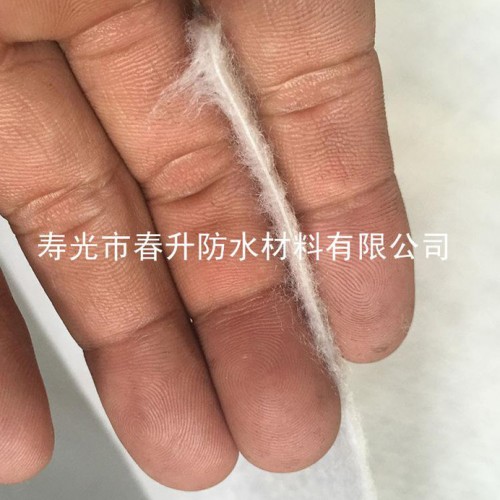 春升国标1.2mm聚乙烯涤纶高分子防水卷材图2