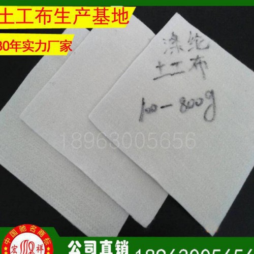 白色涤纶无纺土工布150g 防冻保温 土工布定做图2