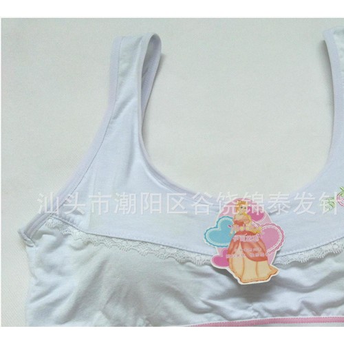 品牌文胸,少女内衣,竹纤维文胸,运动款文胸,品牌竹纤维文胸,伊丽图1