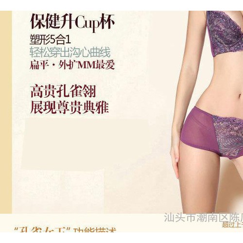 **女王 低鸡心聚拢收副乳内衣 集中上托调整型**文胸批发图3