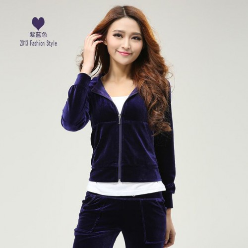 ,2014女装新品 金丝绒运动服套装 韩版时尚烫钻绣花女装 大码女装图3