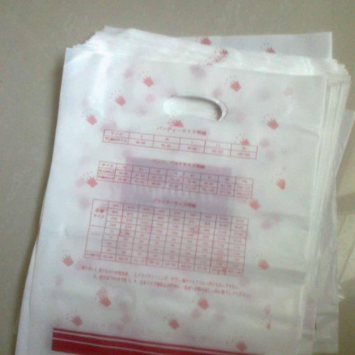 外贸日本黛安芬内衣品牌袋，黛安芬文胸包装袋，黛安芬文胸手提袋图2