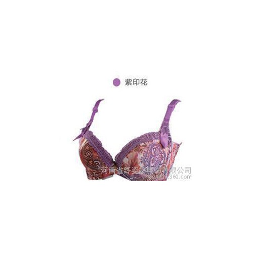 聚拢调整型 女士文胸B杯 蕾丝边性感妩媚 秋冬季四背扣爆款 8163B图2