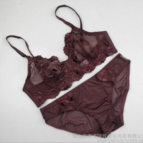 外贸艾格宫廷式品牌性感蕾丝刺绣半透明夏季新款爆款文胸套装混批图6