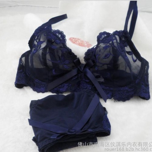外贸艾格宫廷式品牌性感蕾丝刺绣半透明夏季新款爆款文胸套装混批图5