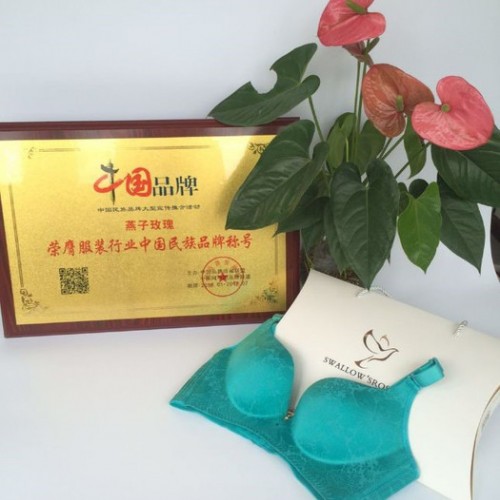 燕子玫瑰无钢圈聚拢调整型文胸套装