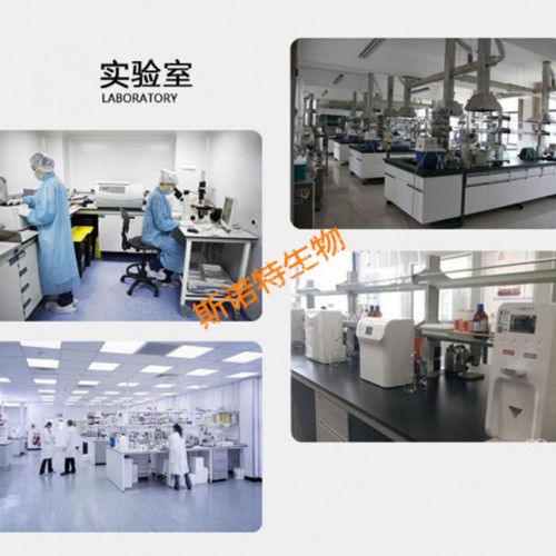 罗布麻叶提取物 浸膏 水溶性罗布麻叶粉  斯诺特生物图2