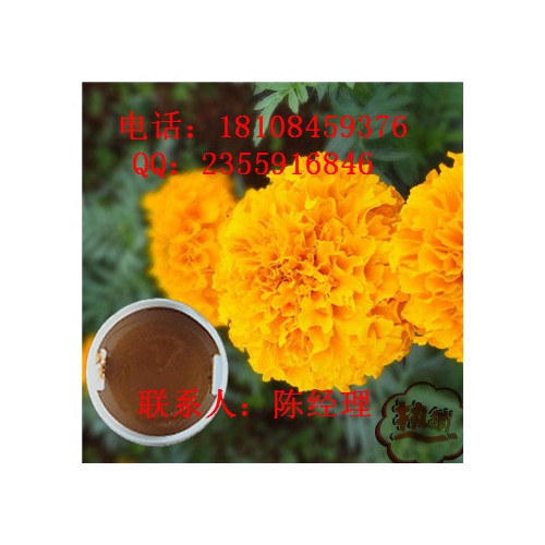 罗布麻提取物行情  ** 罗布麻提取物价格 罗布麻提取物图2