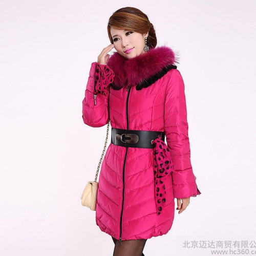 2013冬装 新款 超大貉子毛领雪纺飘带中长款修身羽绒服 女图2