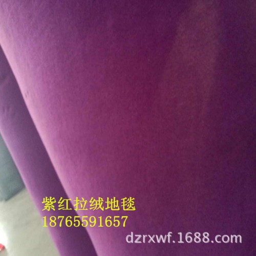 直销 办公家酒店工程满铺提花地毯 舞蹈房健身房艳兰拉绒地毯图2