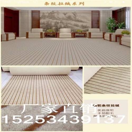 昌达直销展览地毯 阻燃 平面拉绒提花等图2