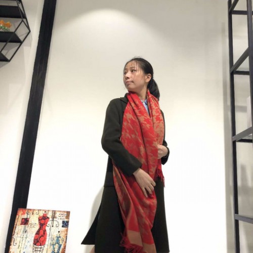 广州雪莱尔羊毛围巾一手货源批发图3