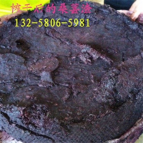木浆纤维植物纤维渣过滤提取压榨机 工业化工原料不锈钢脱水压滤机图2
