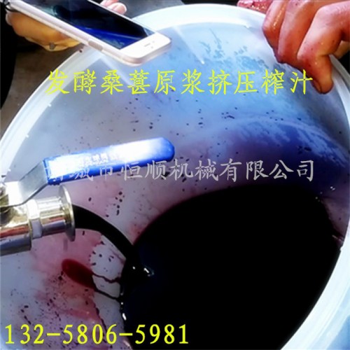 木浆纤维植物纤维渣过滤提取压榨机 工业化工原料不锈钢脱水压滤机图4