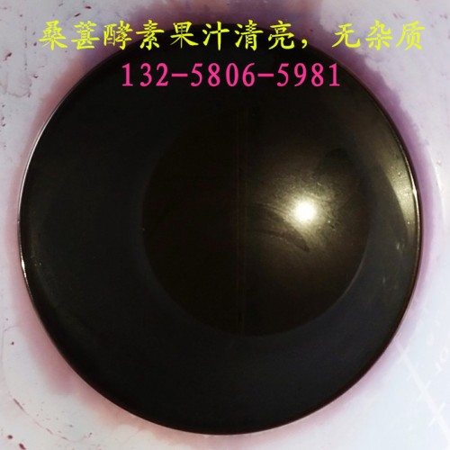 木浆纤维植物纤维渣过滤提取压榨机 工业化工原料不锈钢脱水压滤机图3