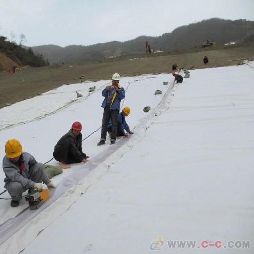 涵洞ECB土工膜 隧道EVA吊带防水板 配热熔垫片 HDPE吊带防水板厂家直接供应图3