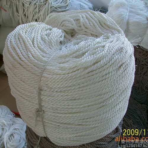 神州吊具SW075双扣尼龙吊带 两扣吊带 两耳吊带 起重吊装绳 吊绳图1