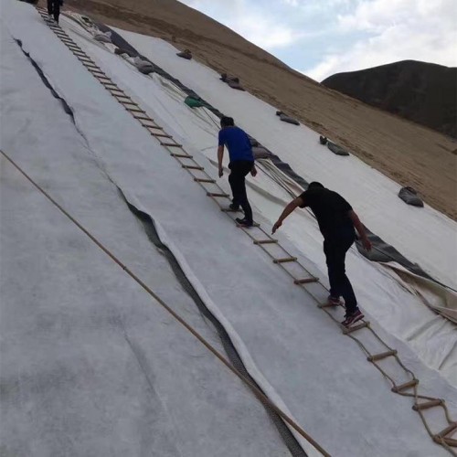 围堰土工布价格 无纺布 润泽土工图8