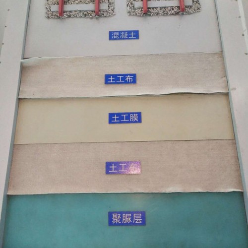 隧道EVA防渗土工膜1.2mm吊带加固型图6