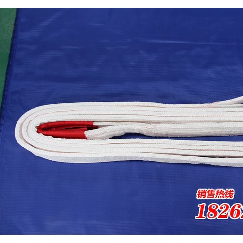 2T*6M双扣白色扁平吊带 起重吊带 规格定做图3