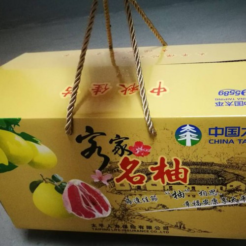 沛县帆布袋无纺布印刷生产厂家图1