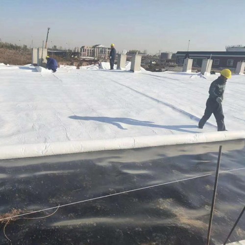 保定国标土工布/短纤土工布/长丝土工布/聚酯无纺布价格便宜，质量优，欢迎来电咨询图2