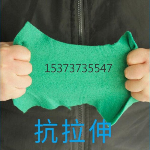 绿色土工布 针刺无纺布公路养护防尘环保绿化盖土毛毡布 厂家图5