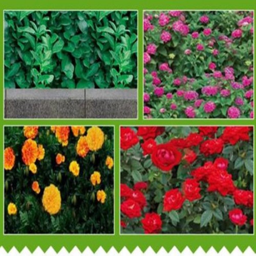 *北京包树布无纺布裹树布 园林植物防冻防寒缠树带保湿带 **批发图8