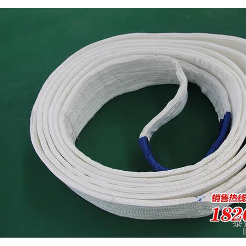 力虎工具 专业生产吊装带 起重带扁平带 白色扁平 吊带 规格齐全【8吨5米】图2