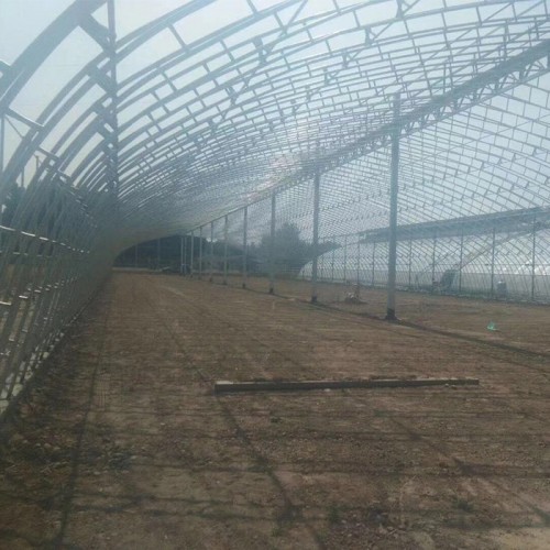 专业花卉温室大棚 专业建钢结构温室大棚的单位 专业吊带木耳温室大棚图4
