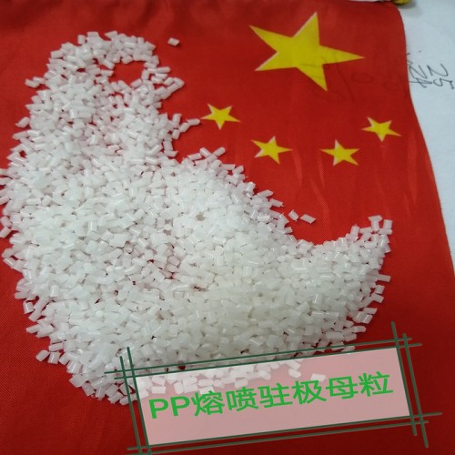 现货供应PP熔喷无纺布驻极母粒 熔喷驻极母料图3