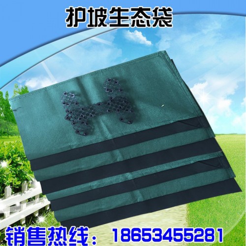 泰宏专业生产园林绿化生态袋 防汛护坡河道修复植草袋 长丝无纺布袋 土工生态袋扣子 堤坝生态植生袋图2