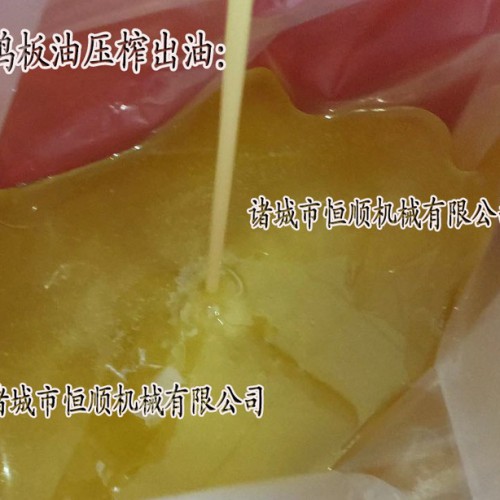 杏仁花生露烘干前榨干设备 无纺布、药用棉花脱水甩干设备脱水机  压榨机图5