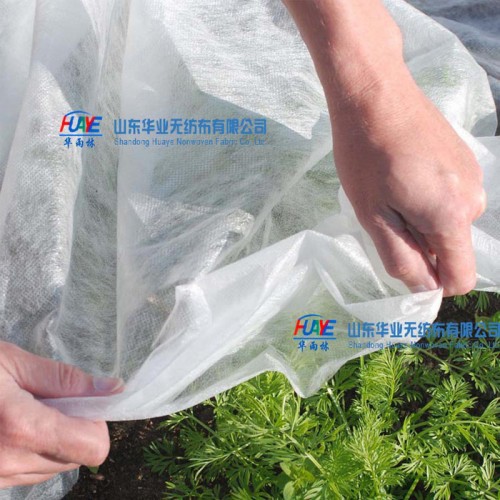 PP绿化防寒无纺布花草保暖树苗保温无纺布园林无纺布图2