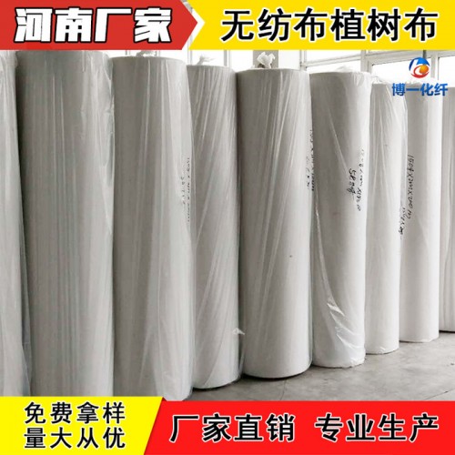 【博一化纤】无纺布植物布  防寒无纺布 绿色植物过冬保温 公路园林绿化防寒无纺布  销售批发，欢迎订购图1