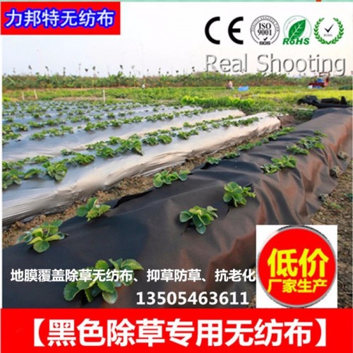 【除草无纺布】低价厂家批发生产 农用无纺布 纺粘无纺布 黑色PP无纺布