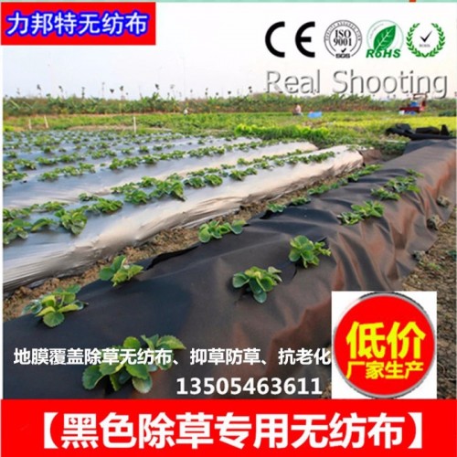 【除草无纺布】低价厂家批发生产 农用无纺布 纺粘无纺布 黑色PP无纺布