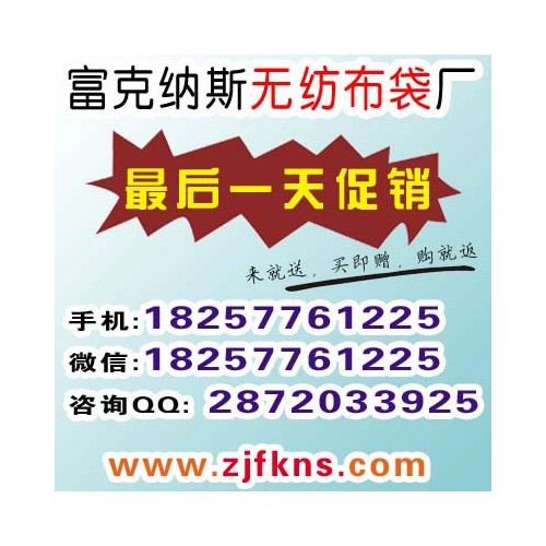 富克纳斯 沧州 可折叠袋子 拉链钱包折叠袋 挖孔背心折叠袋 无纺布袋定做 折叠袋 河北图2