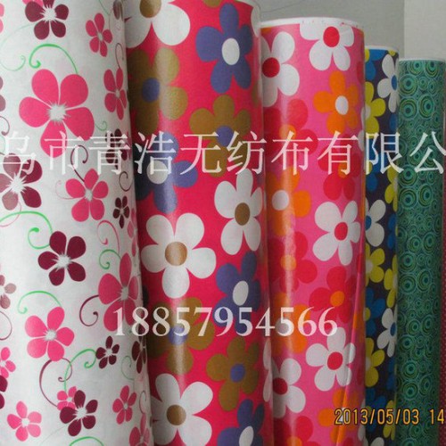 无纺布淋膜 彩色淋膜无纺布 印花淋膜无纺布 淋膜无纺布印花图2