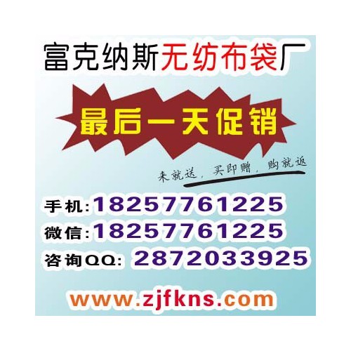 温州 无纺布广告袋定做 无纺布广告袋批发 无纺布拉链袋 无纺布手提袋定做 杭州图3