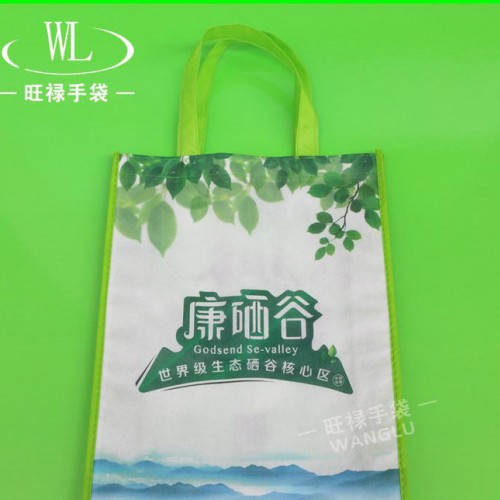无纺布环保袋 手提无纺布袋专业生产购物无纺布广告袋图2