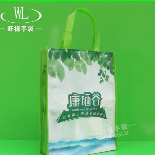 无纺布环保袋 手提无纺布袋专业生产购物无纺布广告袋图3