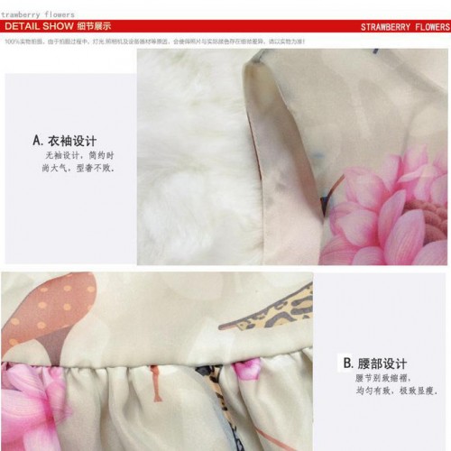 连衣裙 2015夏季新款欧根沙背心裙子 欧洲站无袖女装一件代图3