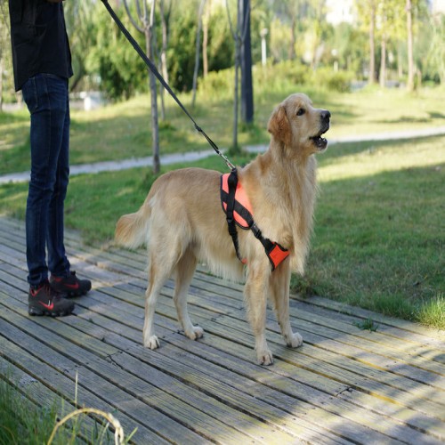 宠物小中大型犬胸背带**防爆冲背心式狗狗牵引绳可调节狗绳项圈图1