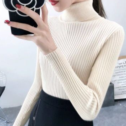 2020秋冬新款女装高领长袖打底衫百搭套头内搭加厚针织衫毛衣上衣图2