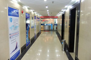 tranwincw_29352851