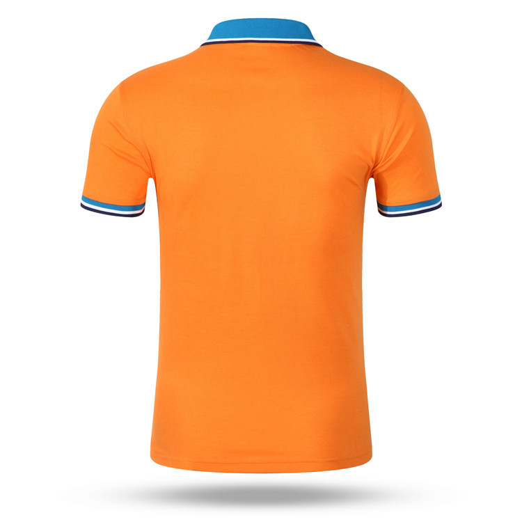 CF121 橙衣湖蓝领 (2)
