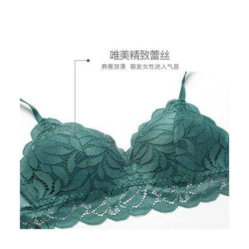 新品欧美文胸套装女士蕾丝内衣性感聚拢本命年红文胸厂家批发6010图2